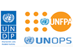 undp.png