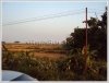 Rice paddy behind Phongsavan Bank new office
