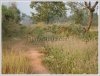 Rice paddy near Kaisonphomvihan Rd for sale
