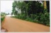 Land with teak wood trees near Sivilay Market for sale