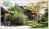 ID: 1530 - Lao style house near diplomatic area with large garden plus fish pond
