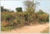 vacant land by pave road for sale in Ban Dongsavath