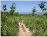 6 years old of 4,500 rubber plants on 18 ha of land for urgent sale