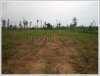 6 years old of 4,500 rubber plants on 18 ha of land for urgent sale