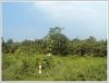 Vacant land in Ban Ladkuay, 4 junction