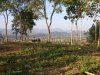 Land on top of Fah Hill for sale