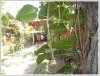 ID: 2021 - Lao style house with shady garden near Joma