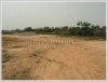 Land for sale in Ban Sangveua