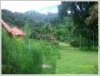 Peaceful Resort by natural from Vangvieng 15 Km