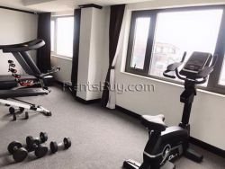 ID: 4386 - 4 stared hotel for sale in city of Vientiane