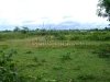 ID: 550 Land in Thangone area for sale