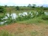 ID: 550 Land in Thangone area for sale