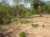 Vacant land at km 38 on 13th southern route