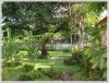 Lao Modern style house with large garden in diplomatic area