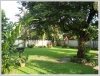 Lao Modern style house with large garden in diplomatic area