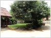 ID: 944 - Lao style house in diplomatic area