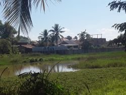 ID: 4588- Large land near Suanmone market in Ban Sangveuy for sale