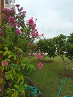 ID: 4337 - Beautiful apartment for rent in Ban Thongsangnang