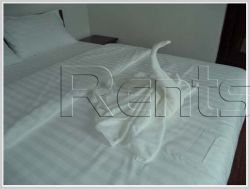 ID: 3327 - Brand new beautiful apartment in prime location of Mekong community for rent