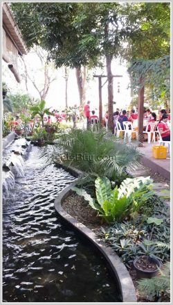 ID: 407 - Modern football fields and resturant business for rent in Sisattanak district.