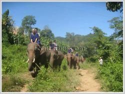 ID: 4267 - Beautiful Hotel and Bungalow near Nam Khan River for sale in Luangprabang Province