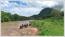 ID: 4267 - Beautiful Hotel and Bungalow near Nam Khan River for sale in Luangprabang Province