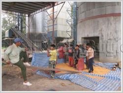 ID: 2431 - The Factory for sale near main road in Ban Chantai Tai, Oudomsay Province