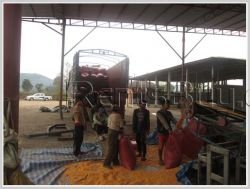 ID: 2431 - The Factory for sale near main road in Ban Chantai Tai, Oudomsay Province