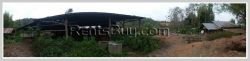 ID: 3923 - Saw Mill Factory for sale in Hongsa District, Sayabouly Province