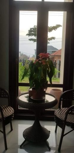 ID: 4575 - Luxury house near Donoun market for rent