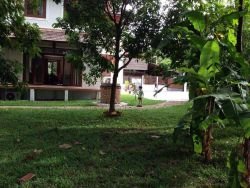 ID: 4159 - Shaded Modern house near Nongnieng market and fully furnished by pave road for rent