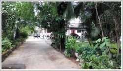 ID: 3186 - Classic style house with large shady garden for rent near Japanese Embassy