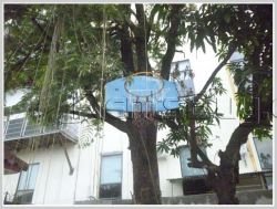 ID: 3334 - Pretty house near Thai Embassy for rent