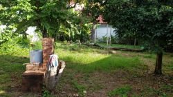 ID: 2625 - Colonial house in quiet area near Japan Embassy