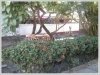 ID: 2652 - Colonial house by good access near fitness center