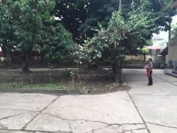 ID: 3645 - House for rent near Eastern Star Bilingual School in CBD