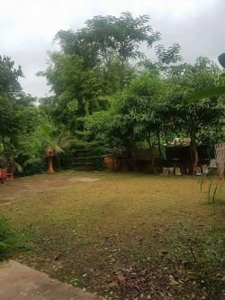 ID: 3791 - Nice house for rent near BBQ Dome Restaurant