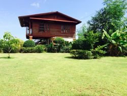 ID: 4140 - Lao style house with large garden in neigborhood of Logos College