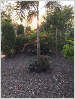 ID: 3601 - Newly modern house with fully furnished for sale
