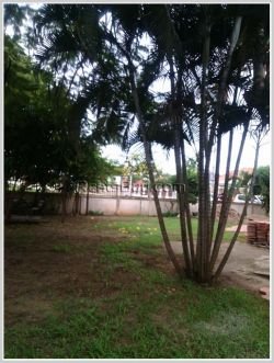 ID: 3599 - Nice house next to concrete road for rent