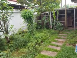 ID: 4090 - Modern house with nice garden and near National University of Laos for rent