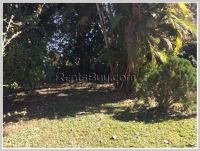 ID: 3006 - Nice villa house with large garden and near Nongduang for rent