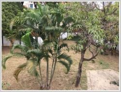 ID: 3967 - Nice house near Mercure Hotel for rent in Sikottabong District