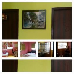 ID: 3136 - Sweet house near Chinamo at Km7 of Tadua Road for rent.