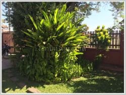 ID: 3425 - Lao style house for rent near faculty of law and political area.