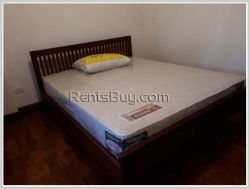 ID: 3367 - The new luxurious house with new fully furnished for rent in Sisattanak district