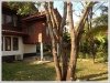 ID: 2714 Lao style house for rent in quite area close to fresh market