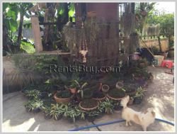 ID: 235 - The big house near Law School with large parking and fully furnished for rent and sale