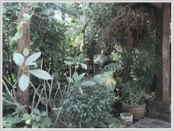 ID: 3066 - Nice villa house with fully furnished for rent in Sisattanak district