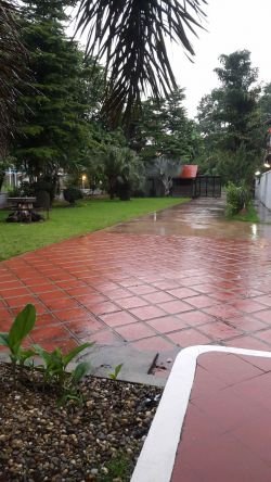 ID: 4066 - The Lao style house with swimming pool for rent in Sisattanak district